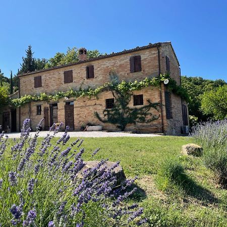 Bed and Breakfast L'Infinito Mombaroccio Экстерьер фото