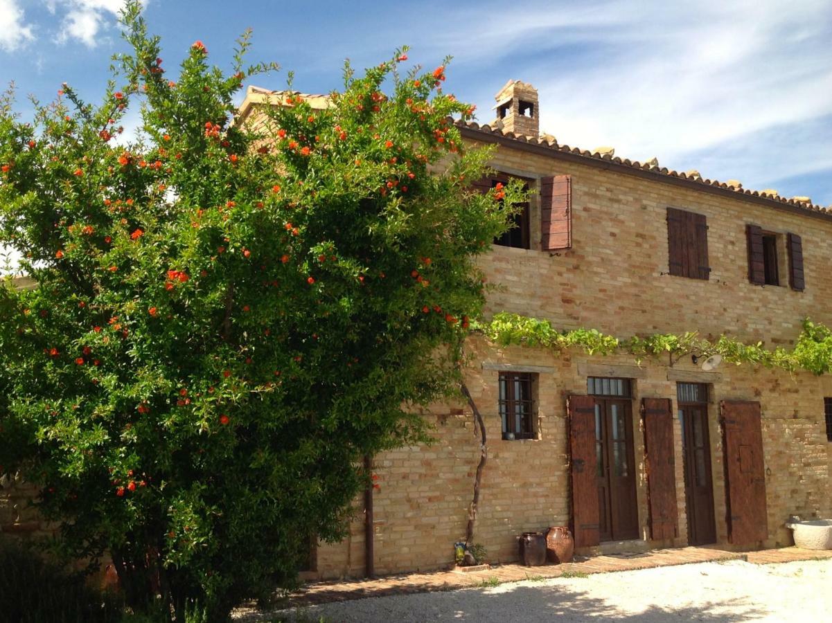 Bed and Breakfast L'Infinito Mombaroccio Экстерьер фото